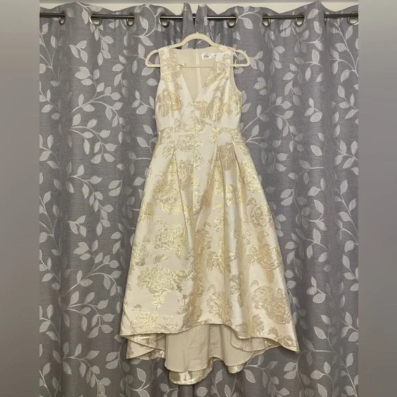 Eliza J Jacquard Fit & Flare Gown Champagne Dresses